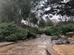 -团结湖公园