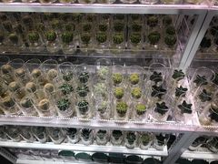 -KKV(深圳宏发大仟里店)