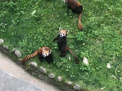 -西安秦岭野生动物园