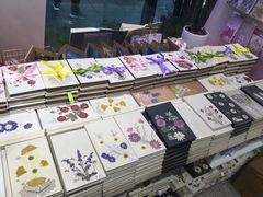 -一朵一果(南锣鼓巷店)