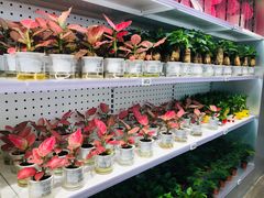 -盒马X会员店(王府井奥莱UP TOWN店)