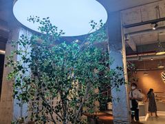 -喜马拉雅森(运河汇1958店)