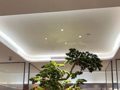 -眉州东坡(大悦城店)