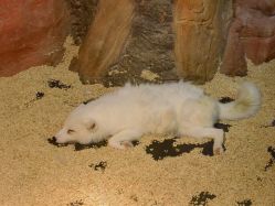 -Zoolung Zoolung动物主题公园(海信广场店)