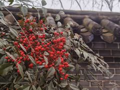 -西安华清御汤酒店