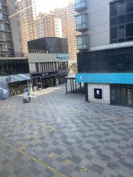 -I+造型烫发染发