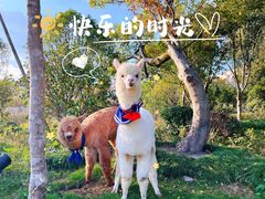 -杭州桐庐康莱德酒店西餐厅-舍