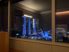-新加坡丽思卡尔顿美年酒店
