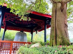 -峨眉山报国寺