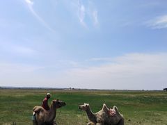 -苏泊罕大草原旅游景区