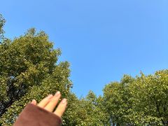 -广富林郊野公园