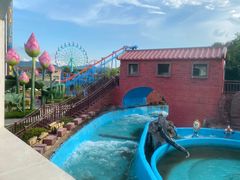 -南京银杏湖乐园