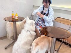 -共舞时光猫咖·狗咖(新街口店)