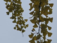 -紫竹院公园-东门停车场