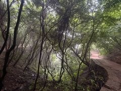 -云丘山景区