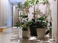 -汤泉良子·沐足·颂钵疗愈·SPA(珠江新城店)