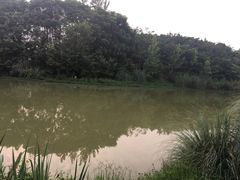 -白鹭湾湿地公园