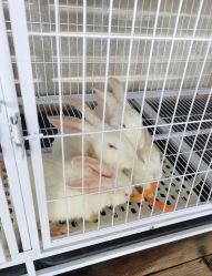 -小蜜蜂农场(凯德七宝购物广场店)