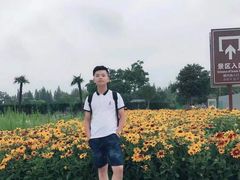 -歌斐颂巧克力小镇