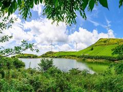 -雁南飞茶田景区