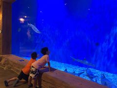 -华夏文旅西安度假区