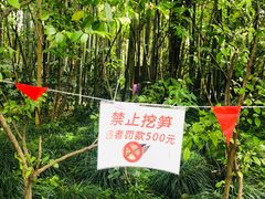 -苏州河梦清园环保主题公园