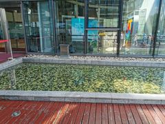 -上海长江河口科技馆