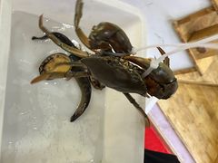 -面道赞宁海海鲜面(迎凤街店)