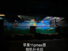 -常州海昌海洋探索馆