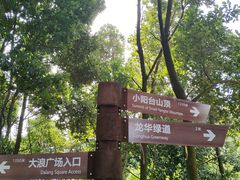 -阳台山森林公园