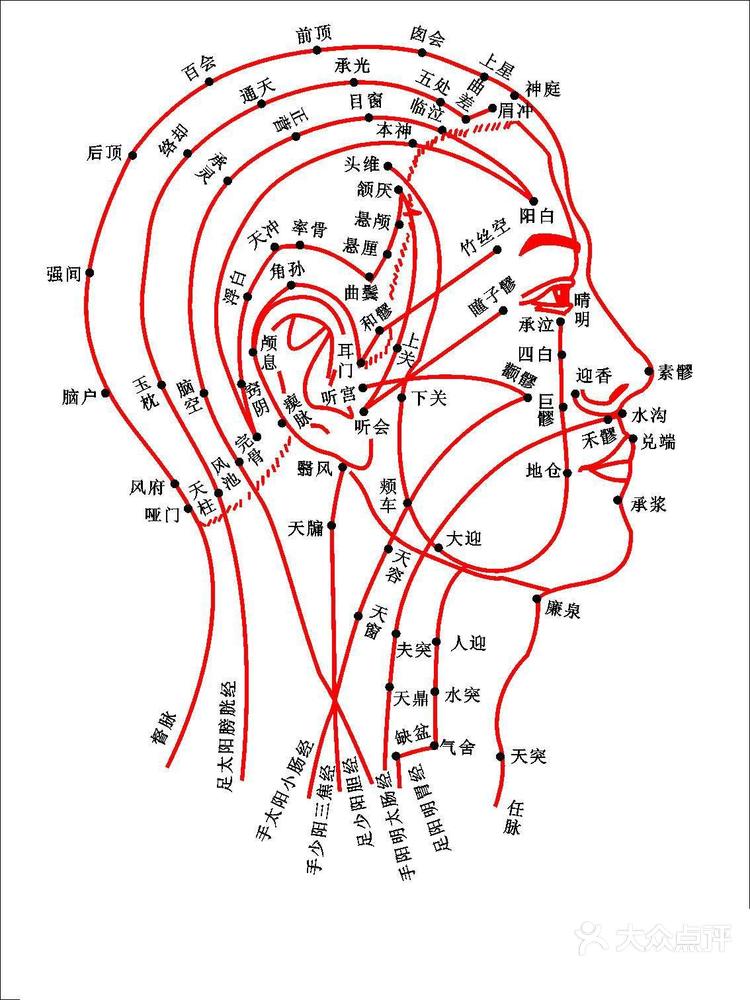 后脑勺详细神经图图片