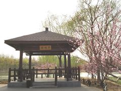 -大兴滨河森林公园