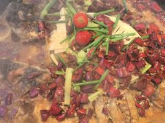 -老板恋上鱼(恒隆广场店)