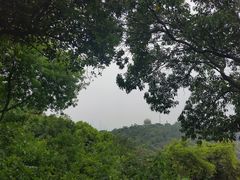 -广州市白云山风景名胜区