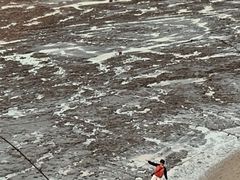 -北岐滩涂