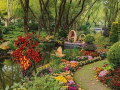 -上海共青森林公园