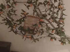 -麦子MaiMassage(打浦桥店)