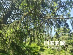 -庐山风景区花径公园