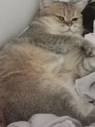 -城南旧影 旗袍全家福摄影写真体验馆