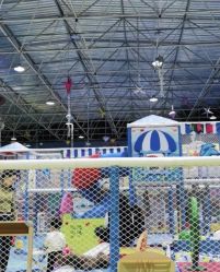 -爱丽丝奇幻乐园