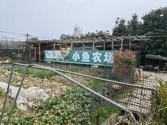 -小鱼草莓采摘园农家乐·小鱼餐厅