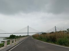 -芒洲湿地公园