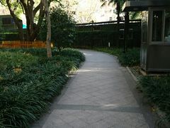 -徐家汇源景区-衡山公园