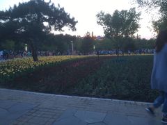 -长春公园(普阳街道)