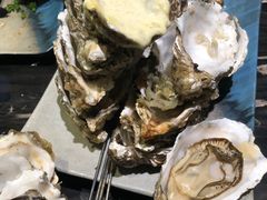 -千岛蚝高压锅生蚝·人参火锅(白云万达店)