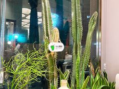 -隅乐胡椒虾·台湾菜·团建(皇岗店)