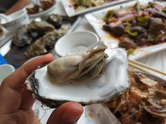 -渔民船说·北塘海鲜·天津菜·海肠捞饭(北塘古镇店)