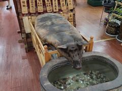-三锅莊·牦牛肉火锅·香格里拉特色藏餐宴请餐厅(昆明创始店)
