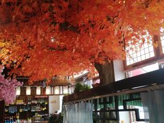 大堂-八次方巴乡石锅鱼·金海湖水库活鱼(谷丰东路店)