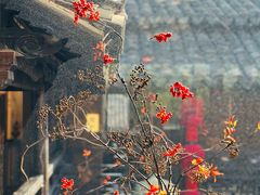 -二泉园老菜馆·百年无锡菜